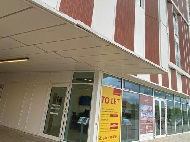 Berks Luxury Serviced Apartments , Free Parking, Free Gym And Free Wifi ブラックネル エクステリア 写真